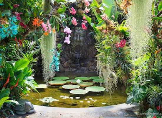 italy/campania/attraction/giardini-la-mortella
