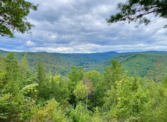 massachusetts/berkshires/attraction/chester-blandford-state-forest