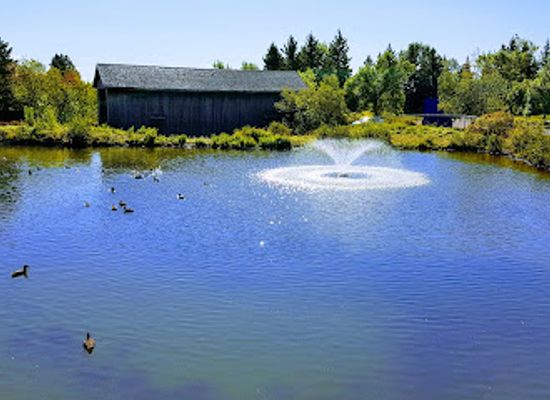 canada/maritimes/attraction/the-magnetic-hill