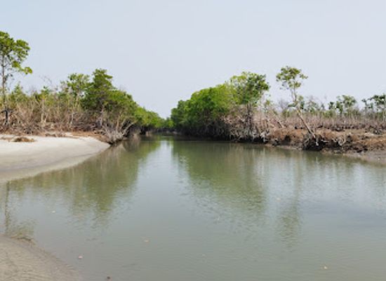bangladesh/sundarbans-national-park/attraction/mandarbaria-sea-beach