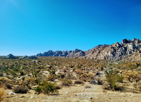 california/mojave-desert/attraction/mojave-national-preserve