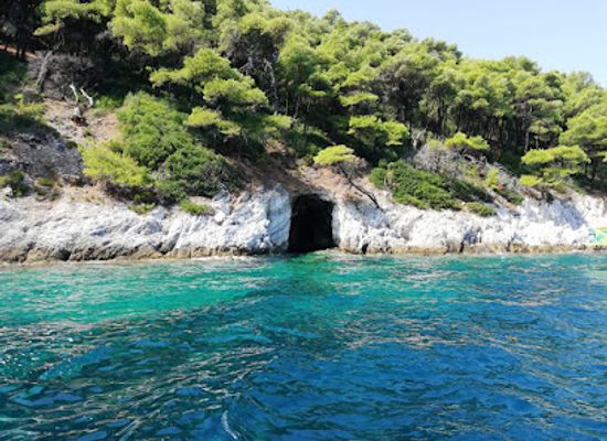 greece/sporades/attraction/sail-with-a-dolphin