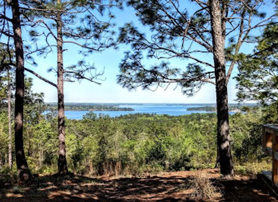 alabama/lake-martin/attraction/cherokee-ridge-alpine-trail