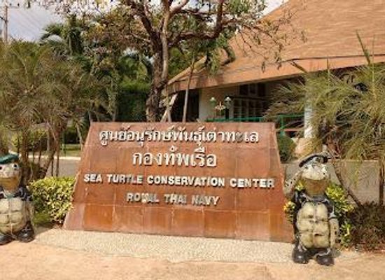 thailand/rayong/attraction/royal-thai-navy-sea-turtle-conservation-center