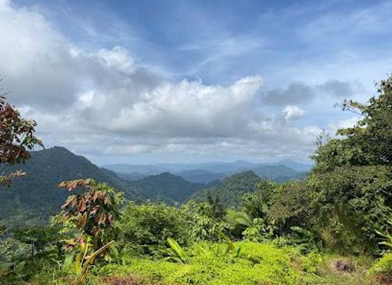 seychelles/praslin/attraction/edmund-forest-trail