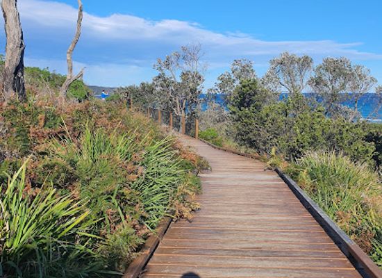 australia/jervis-bay/attraction/cave-beach-camping-ground