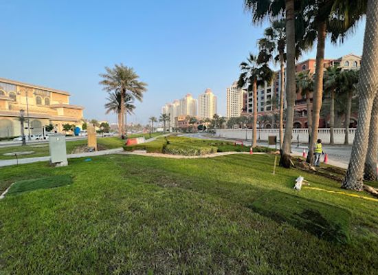 qatar/the-pearl-qatar/attraction/flowers-park