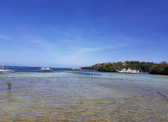 philippines/boracay/diniwid-beach/attraction/lugutan-mangrove-park