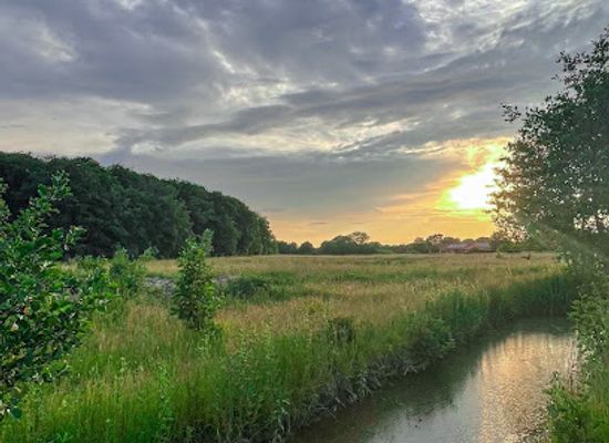 denmark/nastved/attraction/ronnebak-falled
