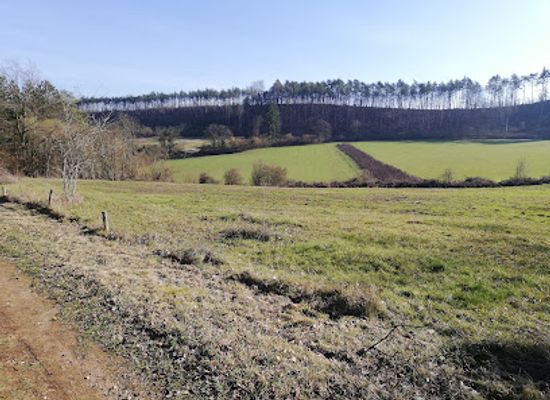 belgium/durbuy/attraction/reserve-naturelle-du-mont-des-pins