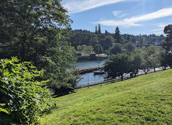 washington/puget-sound/attraction/ballard-locks-fish-ladder