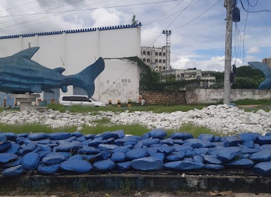 kenya/mombasa-beach/attraction/shark-roundabout