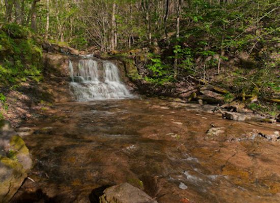 west-virginia/new-river-gorge-national-park-and-preserve/attraction/big-branch-trail
