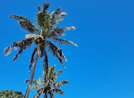 mozambique/ponta-do-ouro/attraction/halo-gaia-wellness-adventures-travel