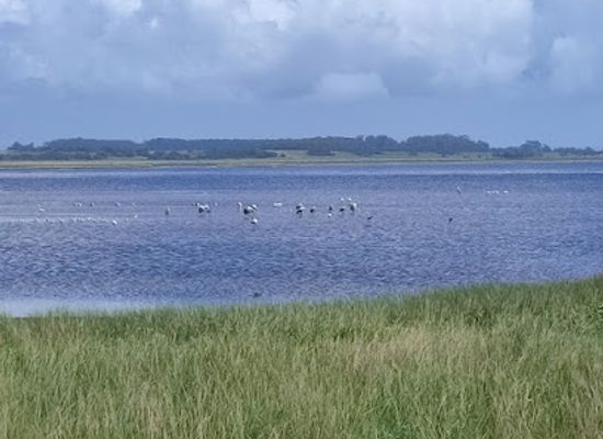 uruguay/aigua/attraction/sendero-barra-de-la-laguna