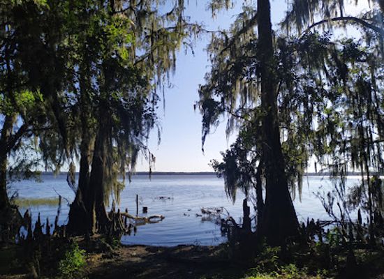 florida/gainesville/attraction/palm-point-park