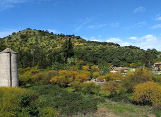 chile/o-higgins-region/attraction/museo-escolar-laguna-taguatagua-melt
