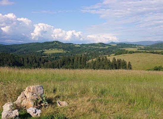 slovakia/banska-bystrica-region/attraction/lavicka-lasky-poniky