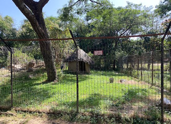nigeria/tiv/attraction/jos-museum-and-zoo