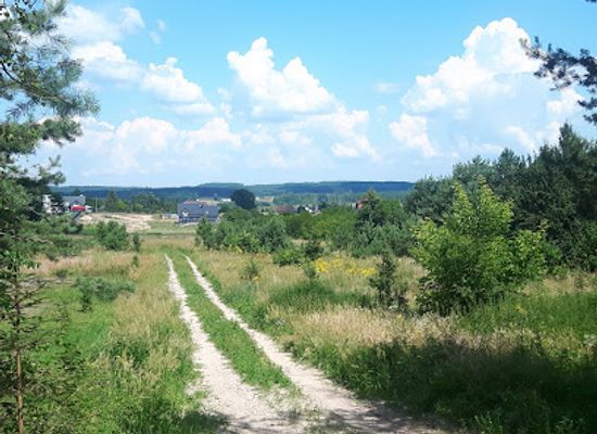 poland/bialystok/attraction/rezerwat-antoniuk