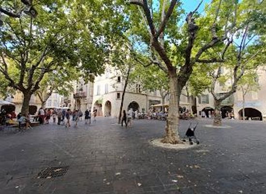 france/languedoc/attraction/pl-aux-herbes