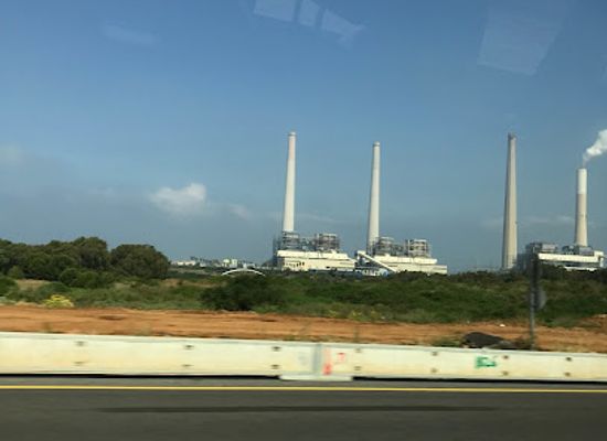 israel/hadera/attraction/yaar-horshat-eqaliptus