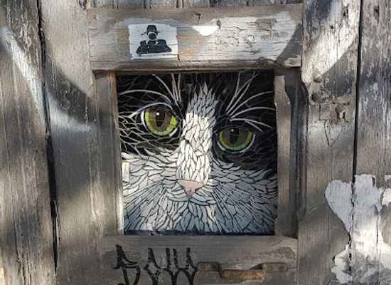 spain/valencia/ciutat-vella/attraction/mosaic-cat-image