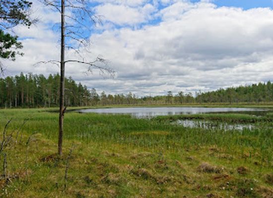 sweden/harjedalen/attraction/hamra-national-park