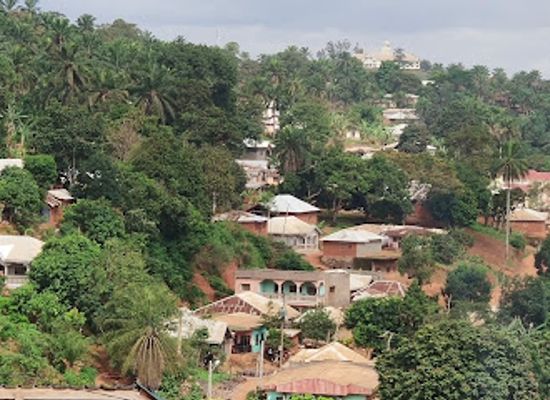 cameroon/bamenda-highlands/attraction/musee-de-foumban