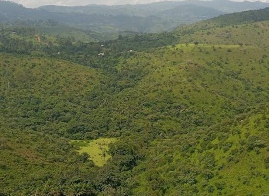 cameroon/mbouda/attraction/espace-vert-d-amendoc
