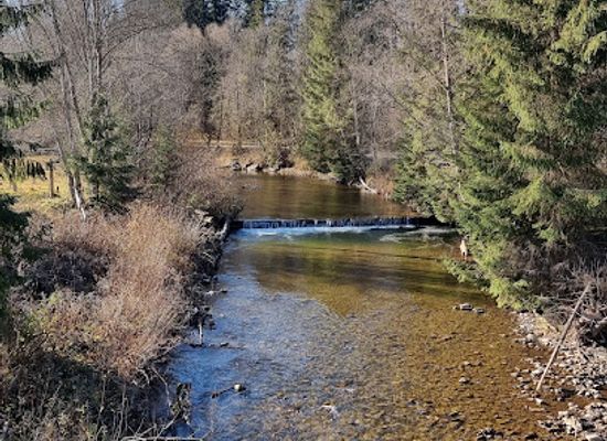 romania/bucovina/attraction/tinovul-mare