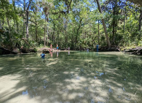 florida/central-florida/attraction/homosassa-wildlife-management-area