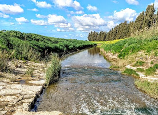 israel/sharon-plain/attraction/lookout-and-observation-stock-mishmar-hasharon-and-reservoirs-emek-hefer