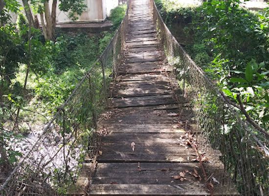 puerto-rico/ponce/attraction/puente-hamaca
