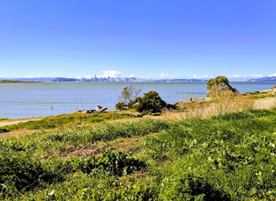 california/bay-area/attraction/mclaughlin-eastshore-state-seashore