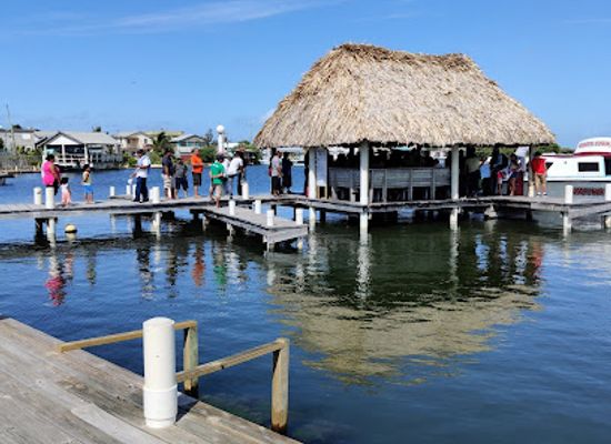 belize/san-pedro/attraction/tacogirl-belize-blog