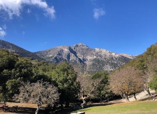 greece/heraklion/attraction/rouvas-forest