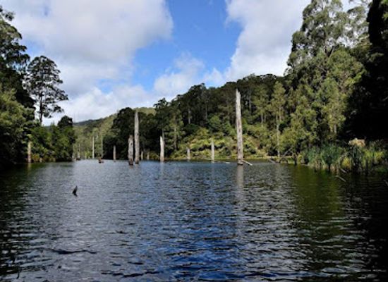 australia/eastern-victoria/attraction/great-otway-national-park