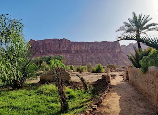 saudi-arabia/al-ula/attraction/dates-palm-swings