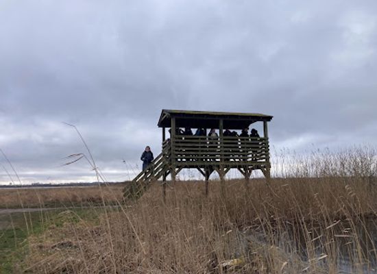 lithuania/marijampole/attraction/amalvos-ezero-polderis