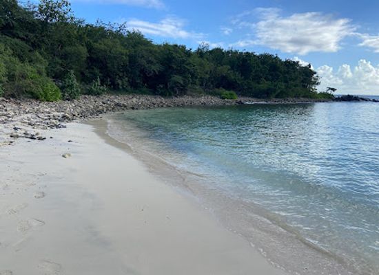 puerto-rico/vieques-island/attraction/playa-pata-prieta
