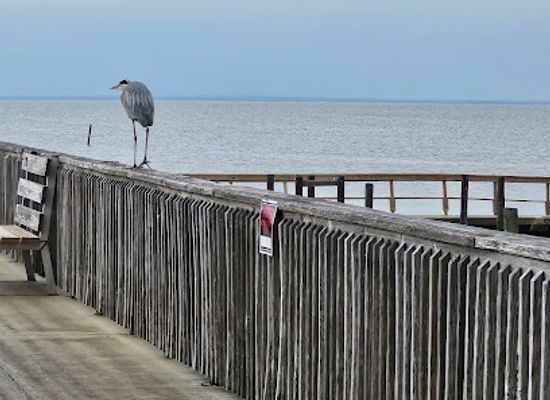 alabama/fairhope/attraction/fairhope-pier