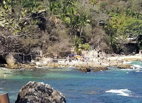 mexico/pacific-coast/attraction/vallarta-adventures-dolphin-center