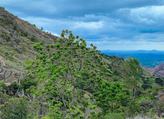 tanzania/mikumi-national-park/attraction/mahembe
