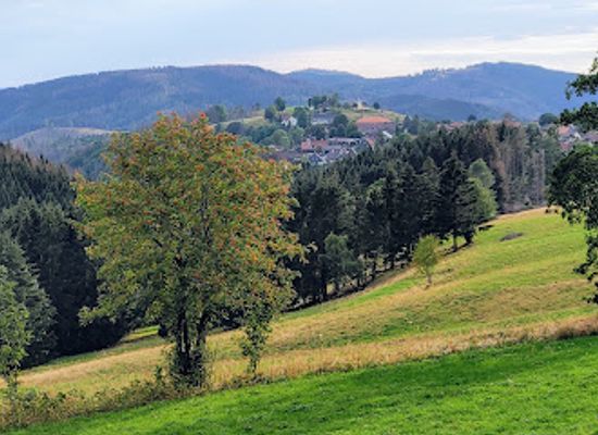 germany/harz-national-park/attraction/mountain-meadows-near-st-andreasberg