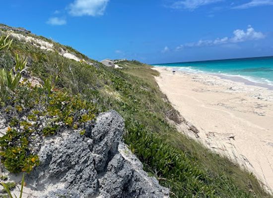 the-bahamas/exuma/attraction/sunrise-bench