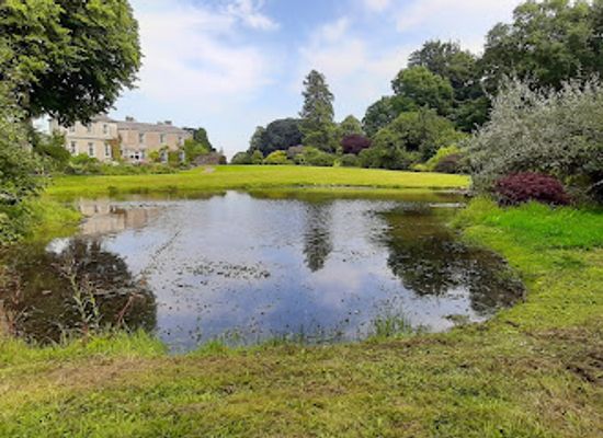 ireland/county-kildare/attraction/coolcarrigan-house-gardens