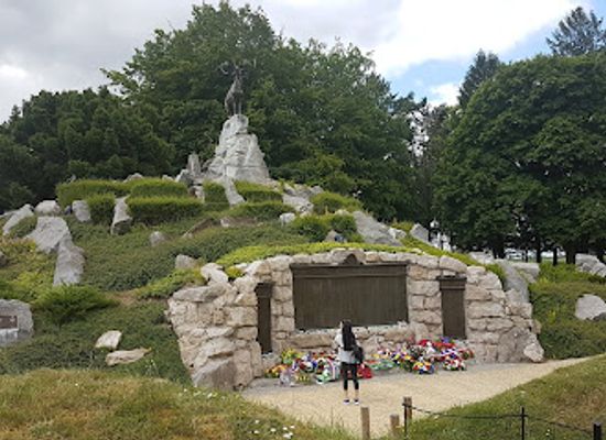 france/picardy/attraction/beaumont-hamel-newfoundland-memorial