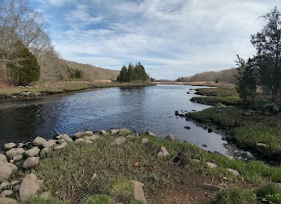 massachusetts/bristol-county/attraction/mass-audubon-s-allens-pond-wildlife-sanctuary