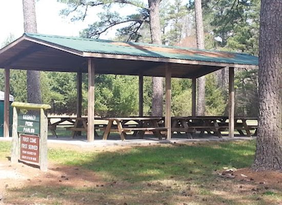 delaware/killens-pond-state-park/attraction/redden-state-forest